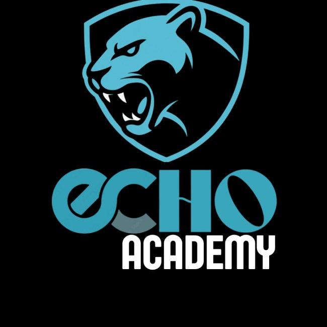 ECHO TEAM ACADEMY