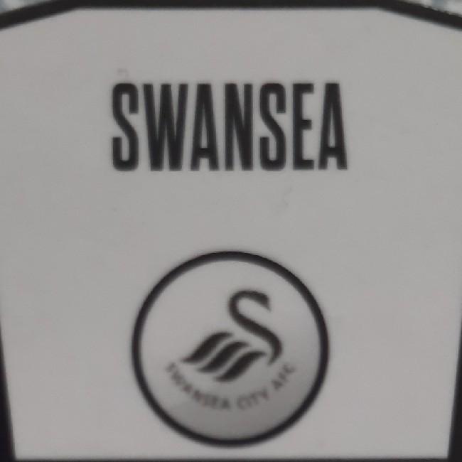 Swansea