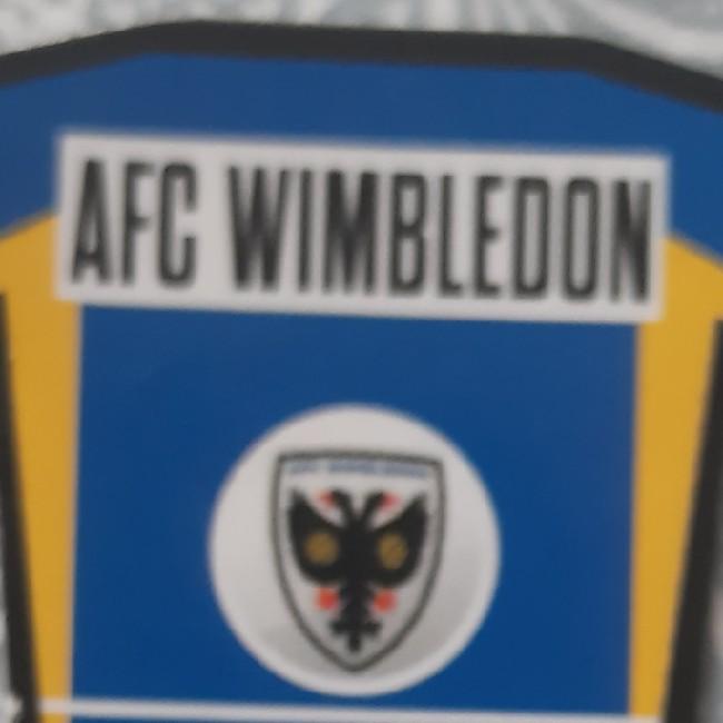 Afc Wimbledon