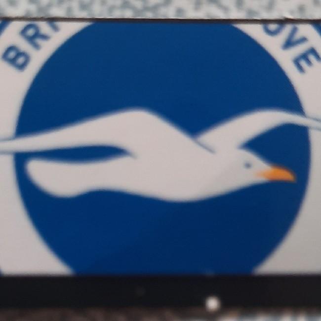 Brighton & Hove