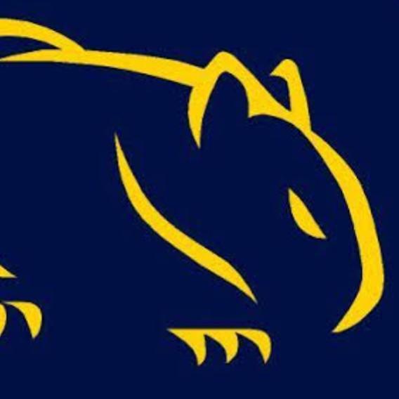 Noojee West Wombats
