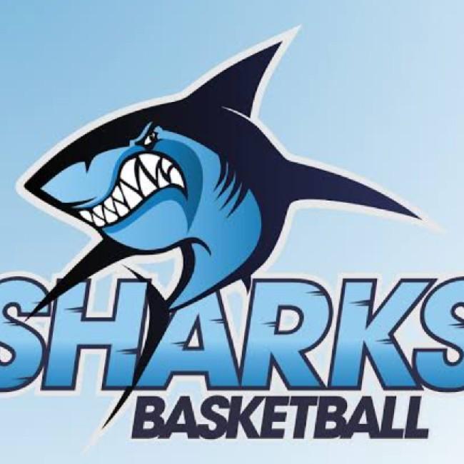 Tarago Sharks