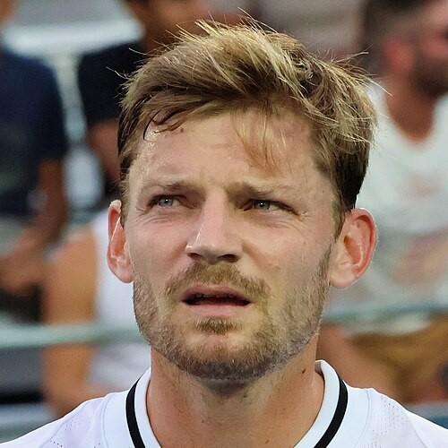 D. Goffin