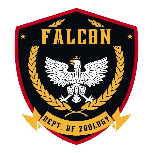 Falcon