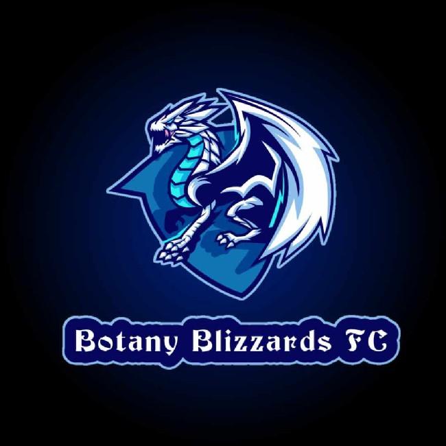 Botany Blizzards FC