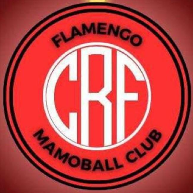Comando fla