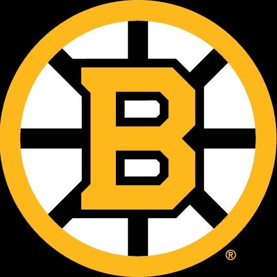 BOSTON BRUINS