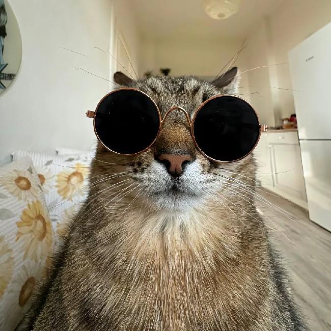 Фёдор