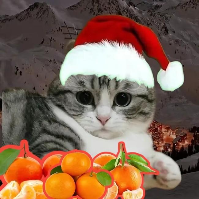 Богдан