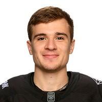 Михаил Горюнов-Рольгизер