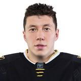 Георгий Солянников 🇷🇺