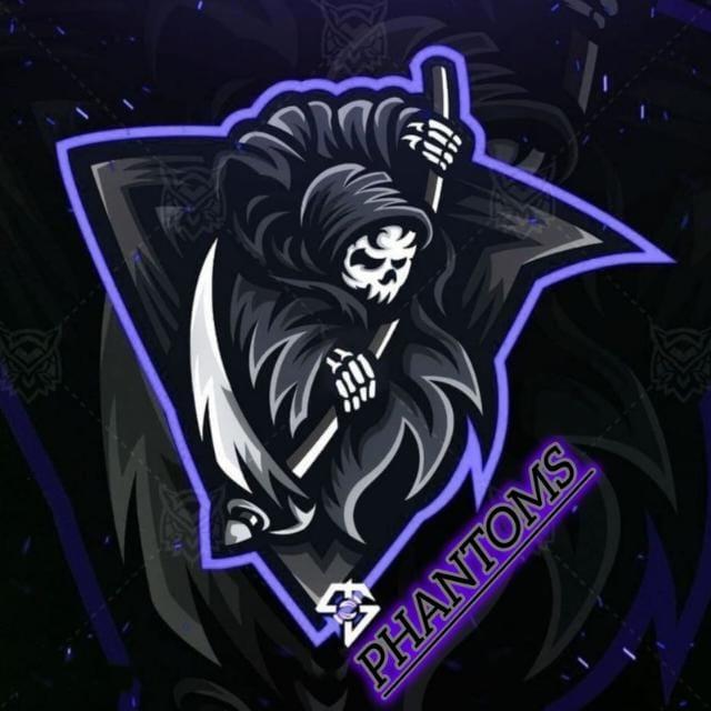 Phantoms