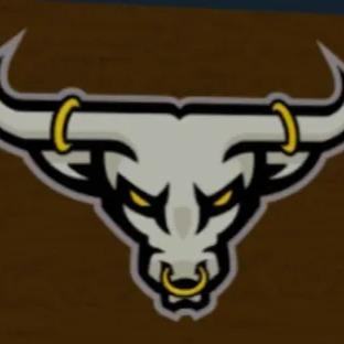 Houston Bulls