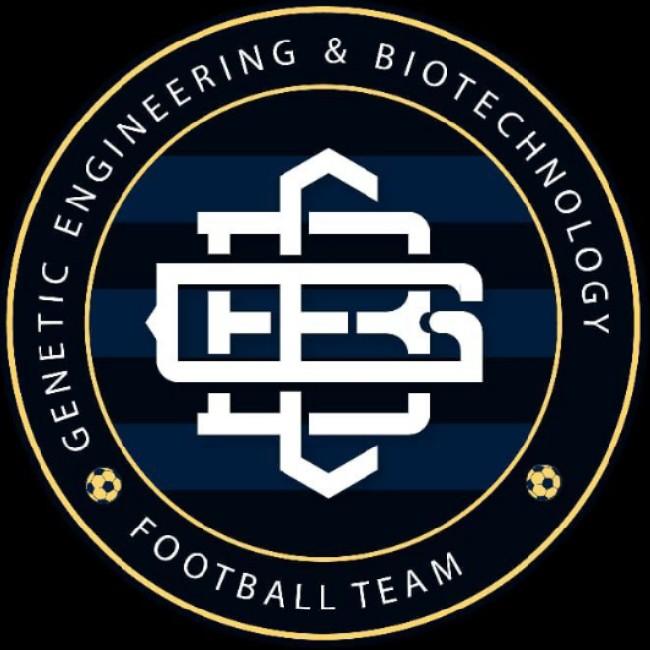 GEB Invincibles