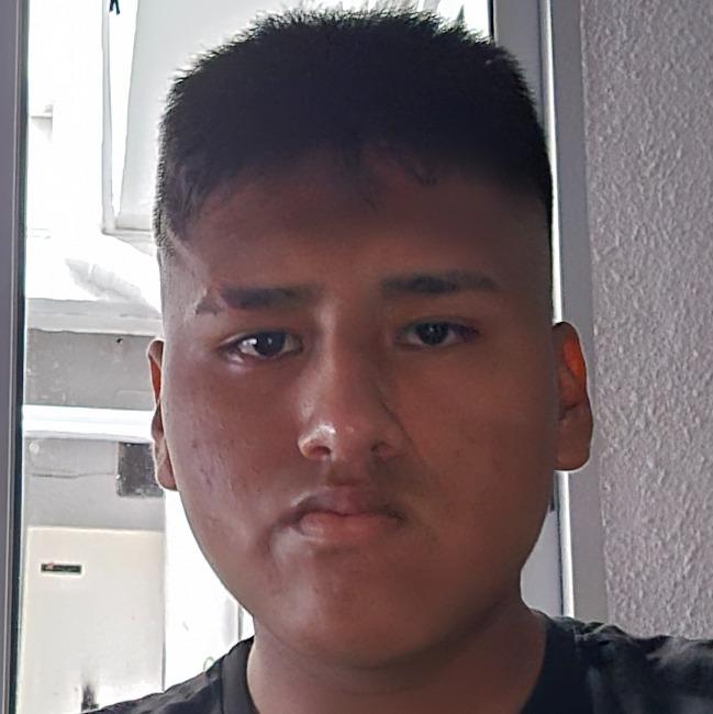 Albert Raul Quispe García