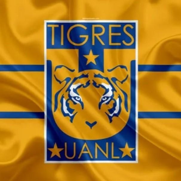 TIGRES UNAL