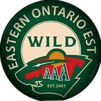 Ontario wild AAA