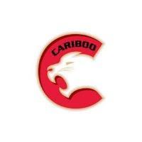 Cariboo cougars AAA