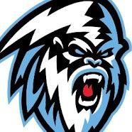 Edmonton yetis