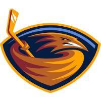 Winnipeg thrashers