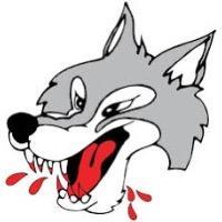Sudbury wolves AAA
