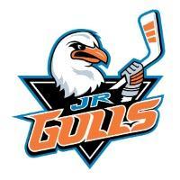 San Diego JR gulls