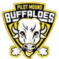 Pilot mound buffalo