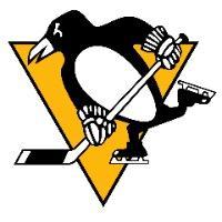 Pittsburgh penguins elite #2