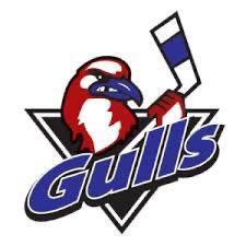 Long Island gulls AAA