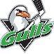 Tantallon gulls AAA