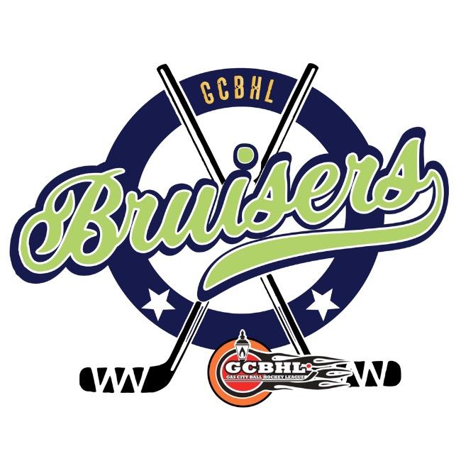 Medicine hat bruisers