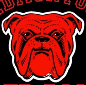 Edson red dogs mini hockey club