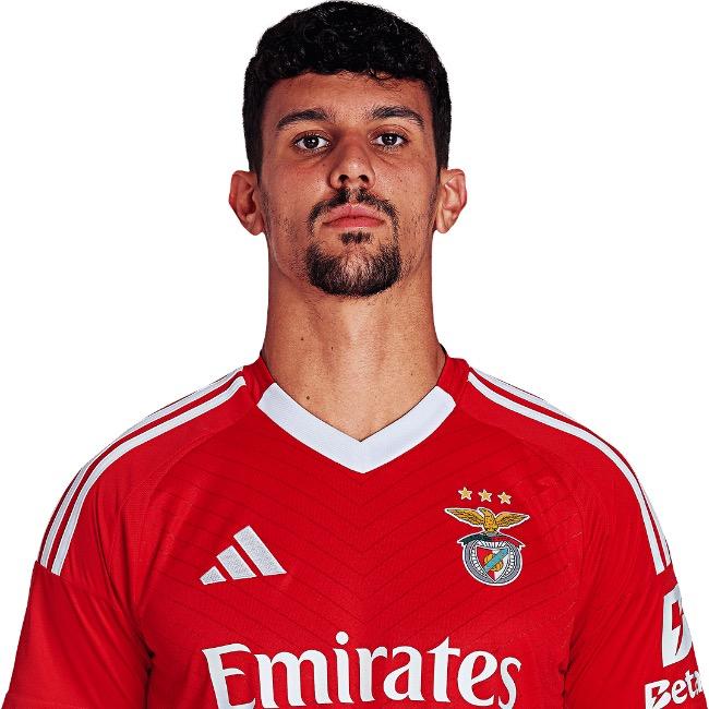 TOMAS ARAUJO