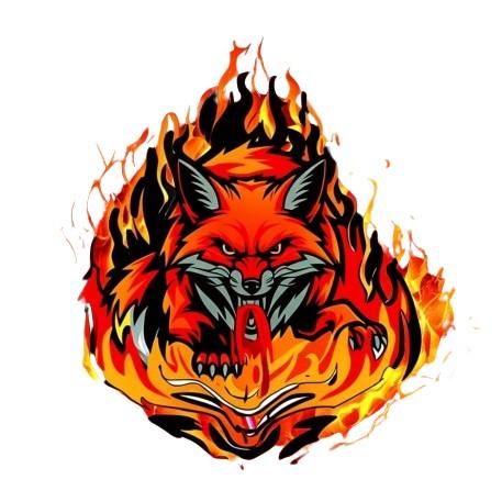 Team Red Foxes