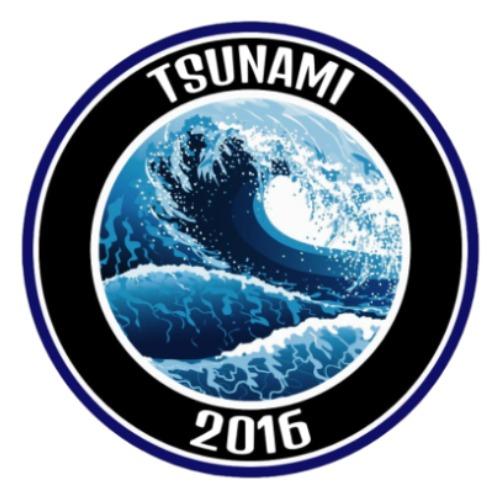 Tsunami