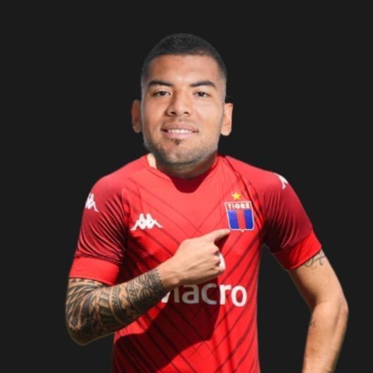 Conejo