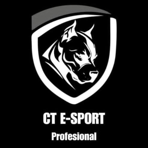 CT-Gaming 🇵🇪