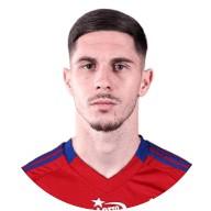Srdjan Plavsic