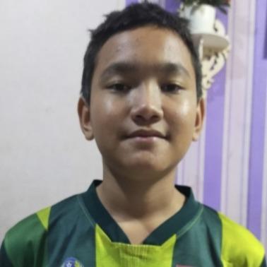M.Vikri Satria