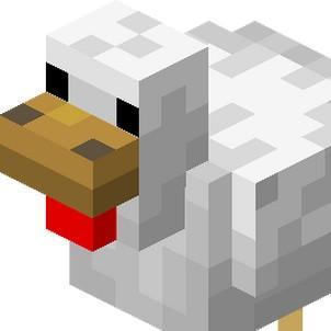 chicken