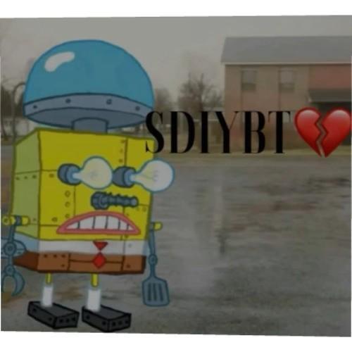 sdiybt