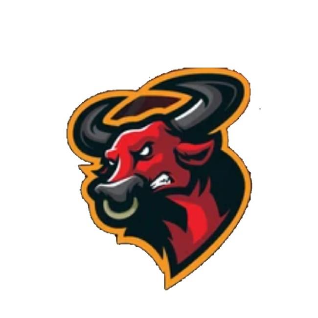 Toros