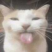 snowball