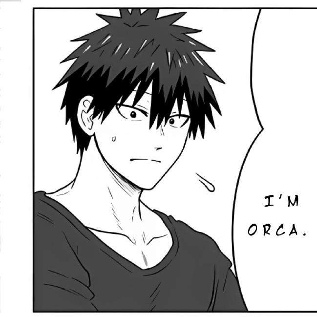 Orca