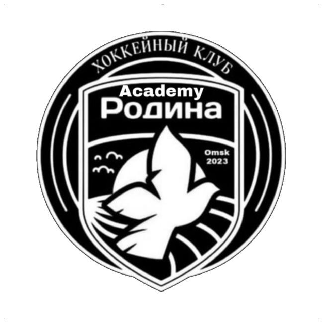 Академия Родины