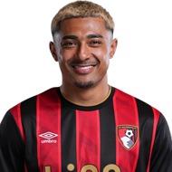 J. Araujo