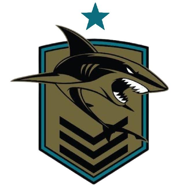 Team Shark