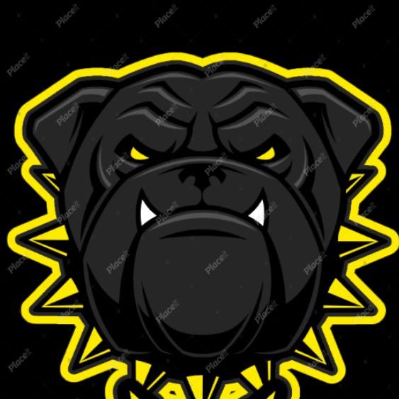 Pittsburgh Pitbulls
