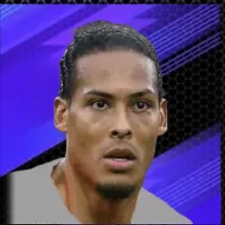Vandijk