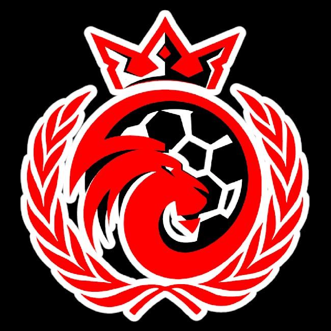 LIGA ELITE DE FUTBOL RAPIDO